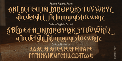 Saltrone Font Poster 8