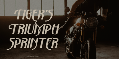Saltrone Font Poster 2