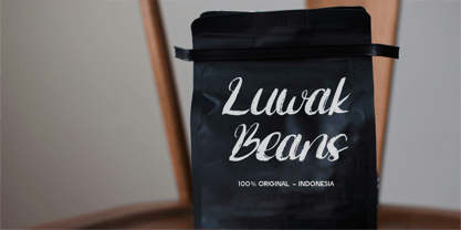 CF Rustic Swipes Font Poster 6