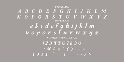 Evoke Italic Font Poster 5