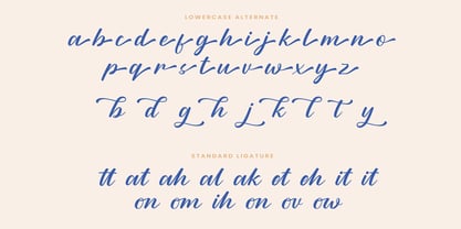 Hiromity Script Font Poster 6