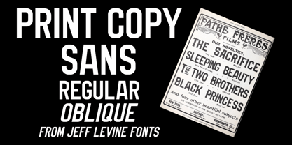 Print Copy Sans JNL Font Poster 1
