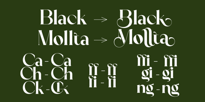 Black Mollta Font Poster 6