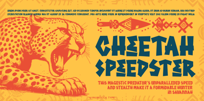 Pokinca Font Poster 7