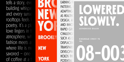 Polienz Font Poster 4