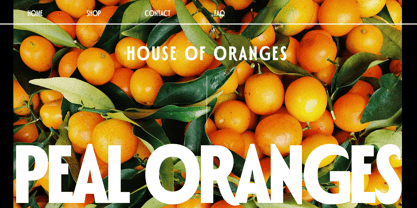 Polienz Font Poster 12