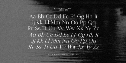 More Hilton Font Poster 10