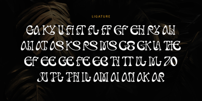 Ranvel Font Poster 6