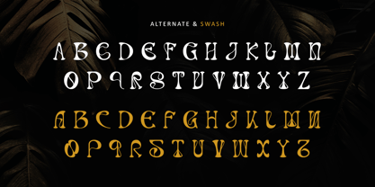 Ranvel Font Poster 8