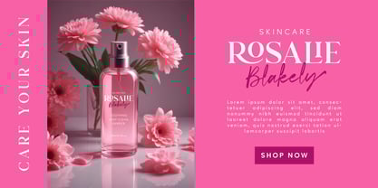 Michelle Patrick Font Poster 3