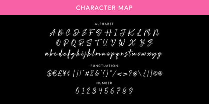 Michelle Patrick Font Poster 7