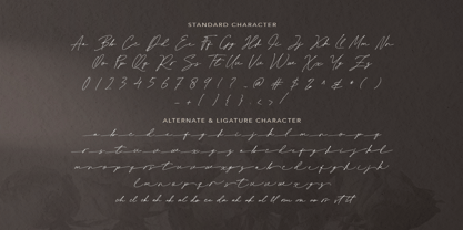 Rachelle Stone Font Poster 9