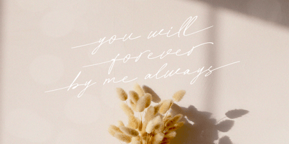 Rachelle Stone Font Poster 7