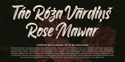 Roselight Brush Font Poster 11