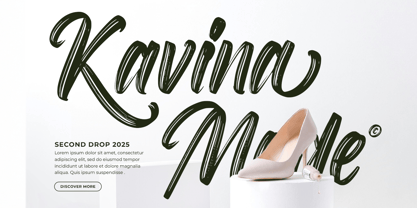 Roselight Brush Font Poster 4