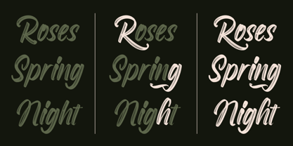 Roselight Brush Font Poster 14