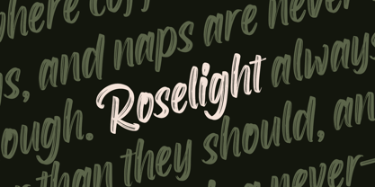 Roselight Brush Font Poster 13