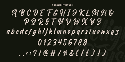 Roselight Brush Font Poster 9