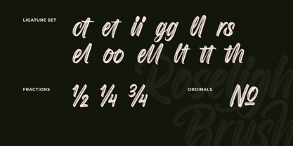 Roselight Brush Font Poster 15