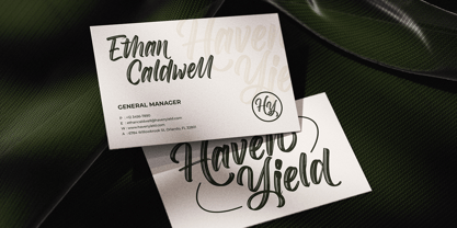 Roselight Brush Font Poster 5