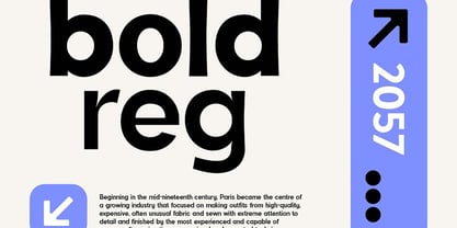 Poligrapher grotesk Font Poster 12