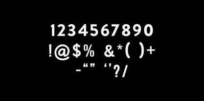 Poligrapher grotesk Font Poster 11