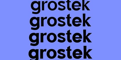 Poligrapher grotesk Font Poster 4