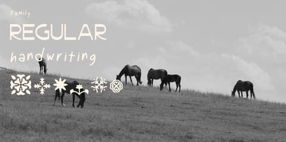 Bakora Font Poster 4