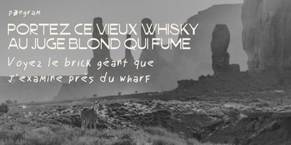 Bakora Font Poster 10