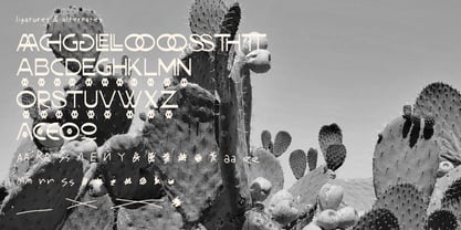 Bakora Font Poster 2