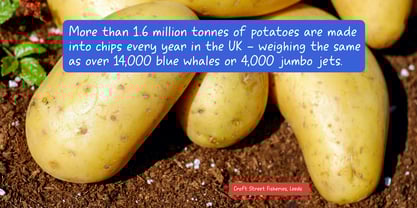 Cheap As Chips Font Poster 4