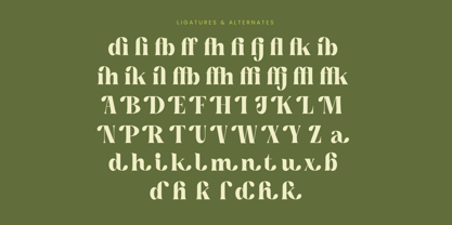 Buffery Reflika Font Poster 14