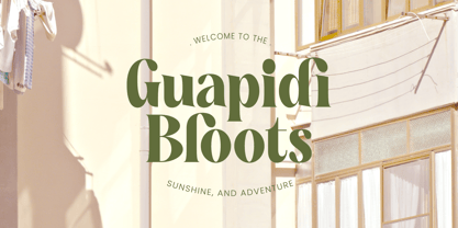 Buffery Reflika Font Poster 13