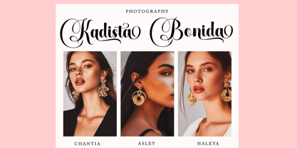 Dialena Font Poster 6