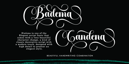 Dialena Font Poster 4
