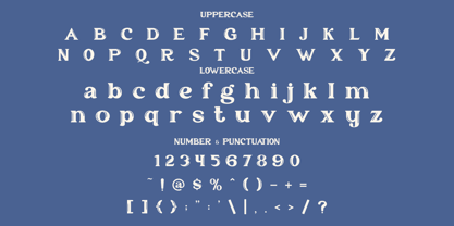 Floofy Bubble Font Poster 5