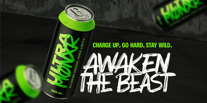 ROGENZ Font Poster 2