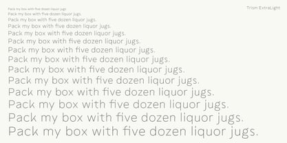 Trism Font Poster 9