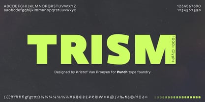 Trism Font Poster 10