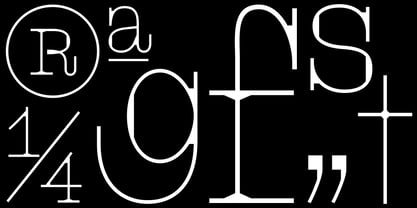 Antonym Font Poster 5