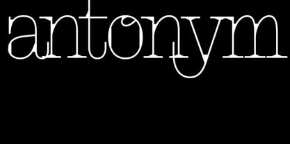 Antonym Font Poster 1