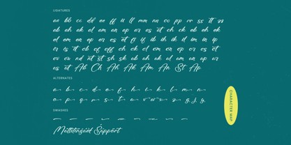 Amlerish Stagnate Font Poster 15