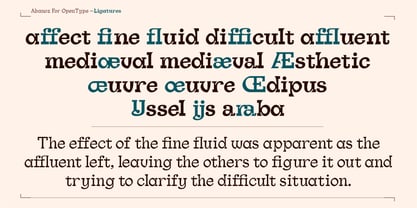 Abanoz Font Poster 15