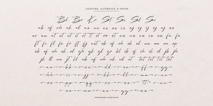 Dengacho Signature Font Poster 12