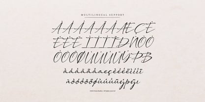 Dengacho Signature Font Poster 11