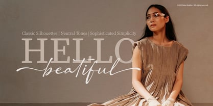 Dengacho Signature Font Poster 3