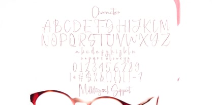 Anjany Sallentiny Font Poster 8