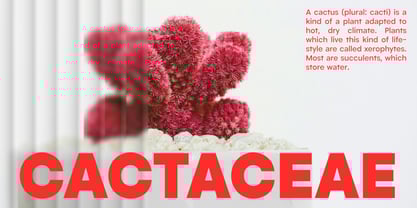 Garmit Font Poster 9