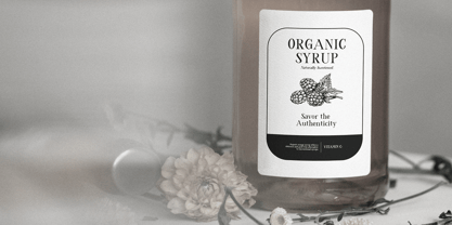 Servine Font Poster 8