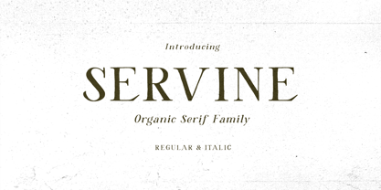 Servine Font Poster 1